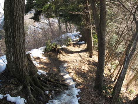 20160128hike (101)